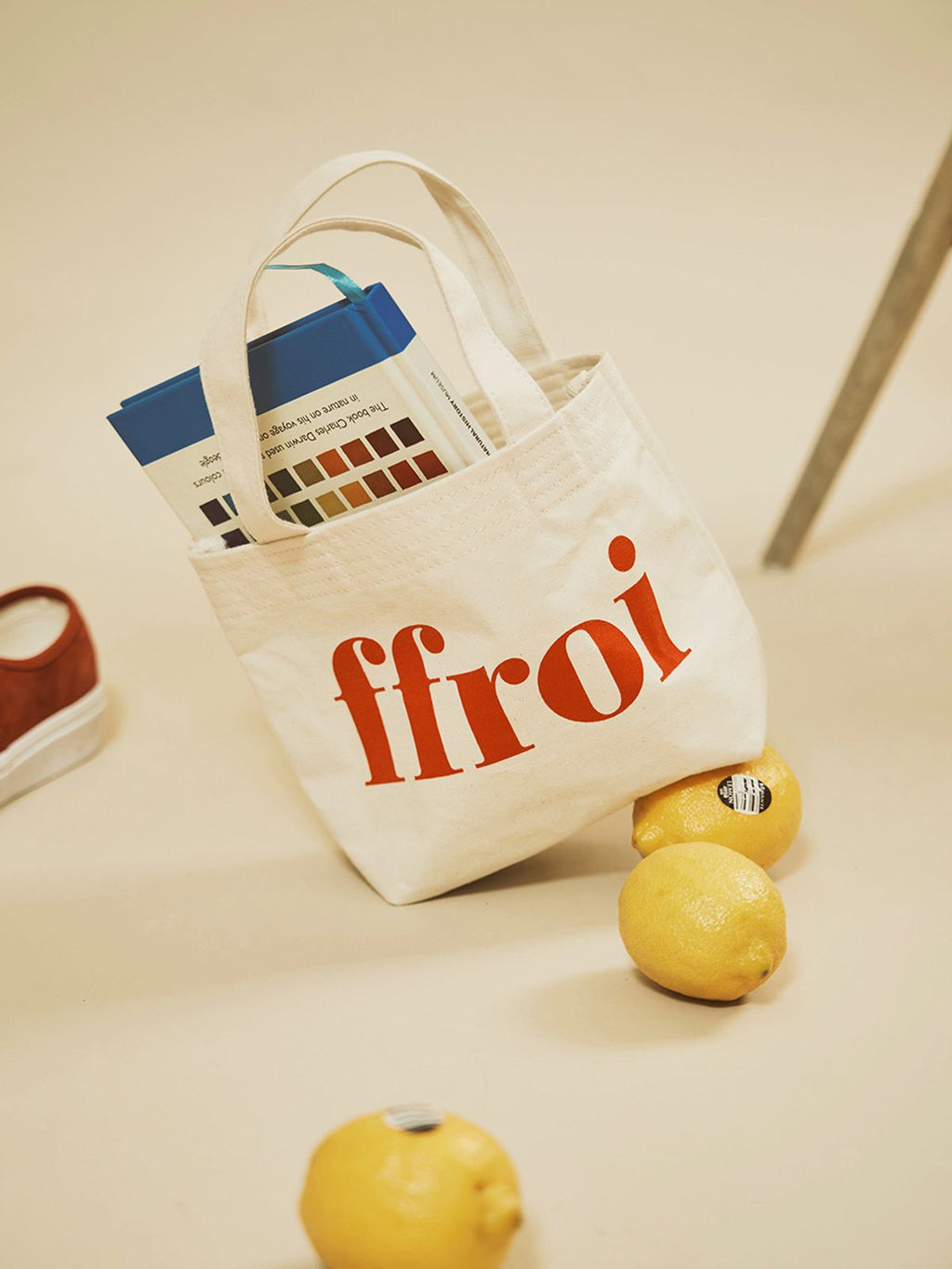 プルア フルア(FFROI)エコバスケットIIとは?特徴と選び方ガイド
